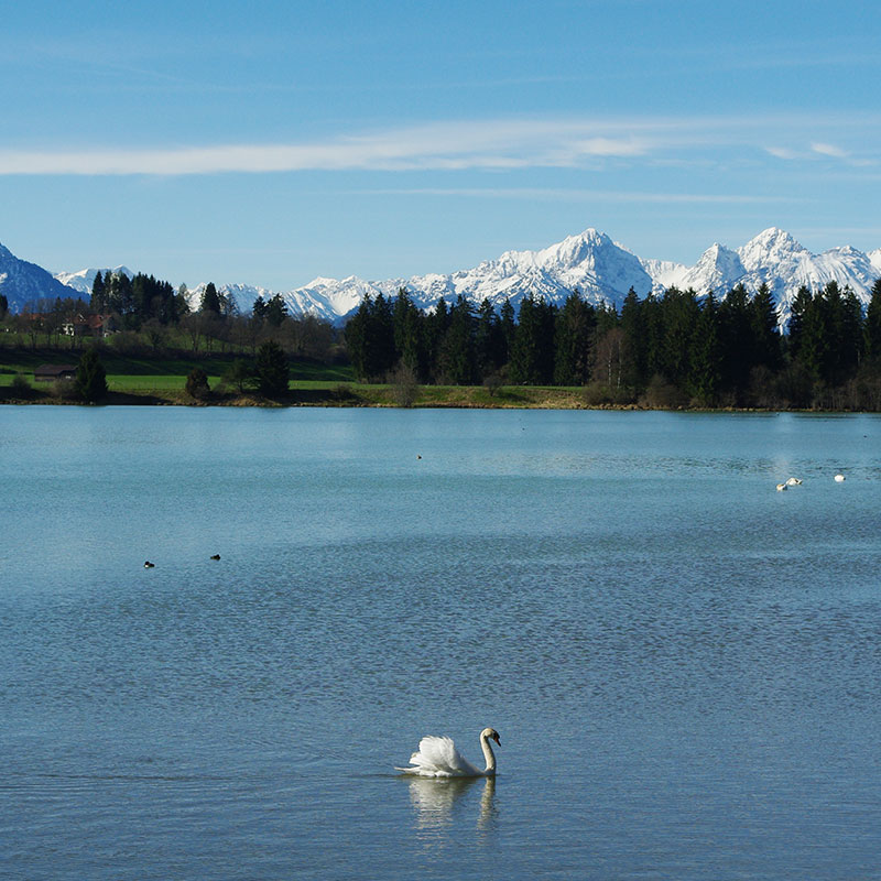 Das Allgäu